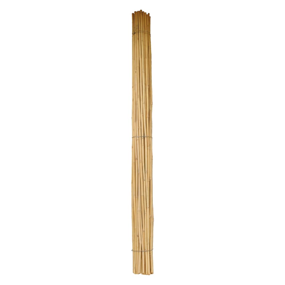 CANNA BAMBU' Ø 28/30 mm. circa - h. mt 2,1 (50 PZ)