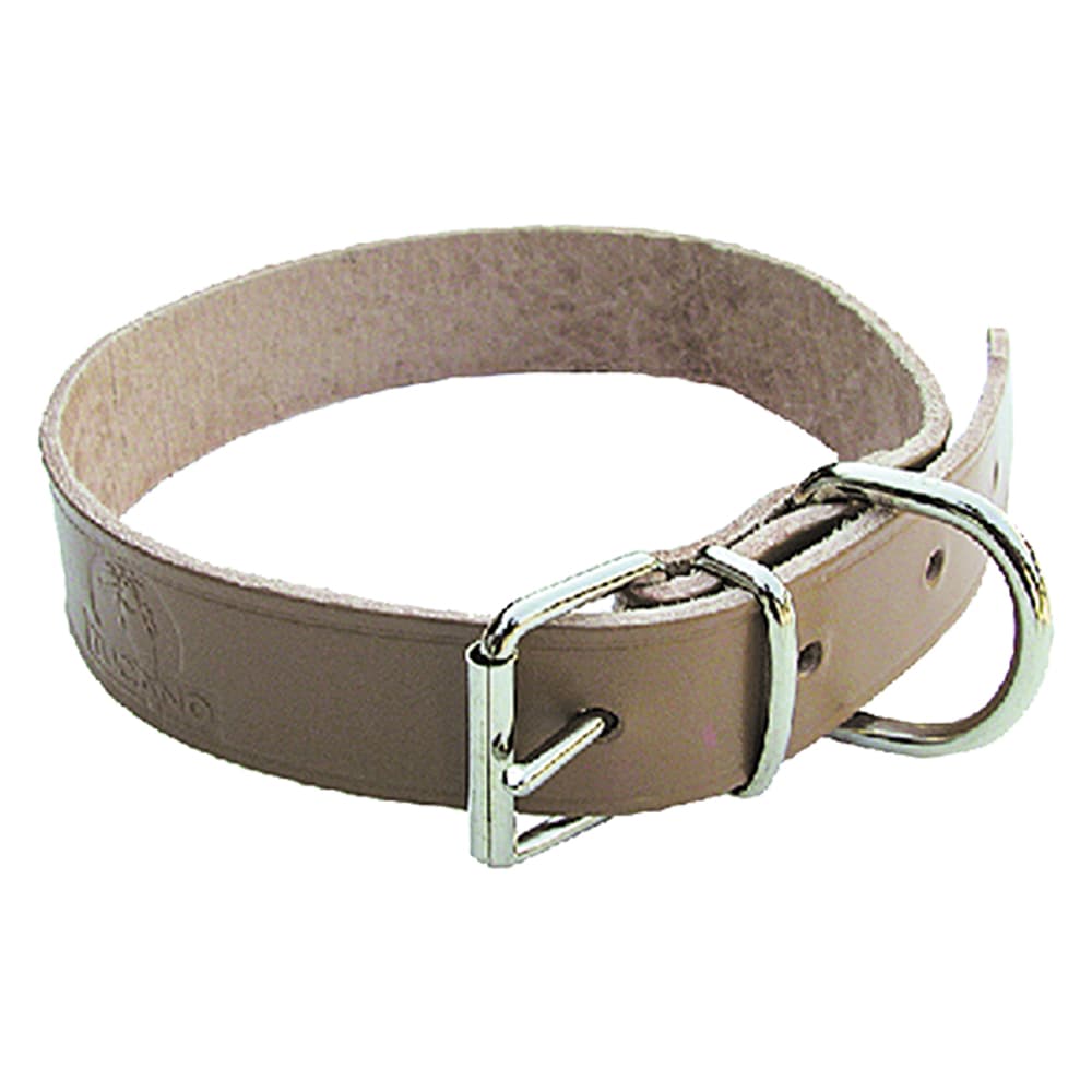 COLLARE PER CANE larg. mm 20 lung. cm 44 (6 PZ)