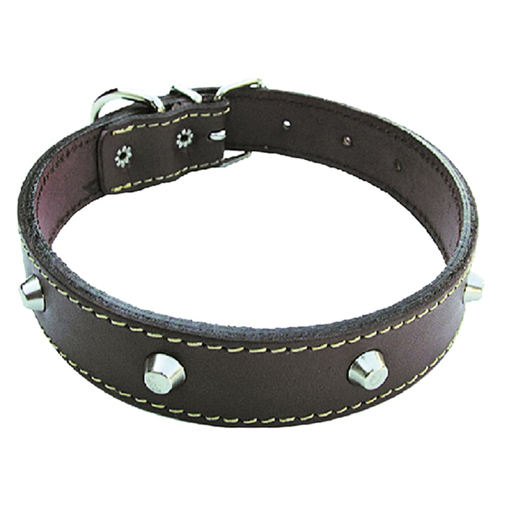 COLLARE PER CANE larg. mm 25 lung. cm 55 (6 PZ)