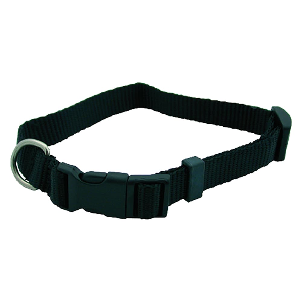 COLLARE PER CANE mm 20 x cm 50 (6 PZ)