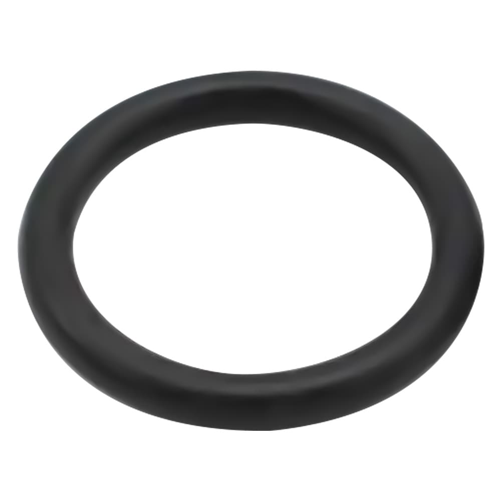 O-RING PER MOTOPOMPA IRRORATRICE mm. 3,53 x 21,82