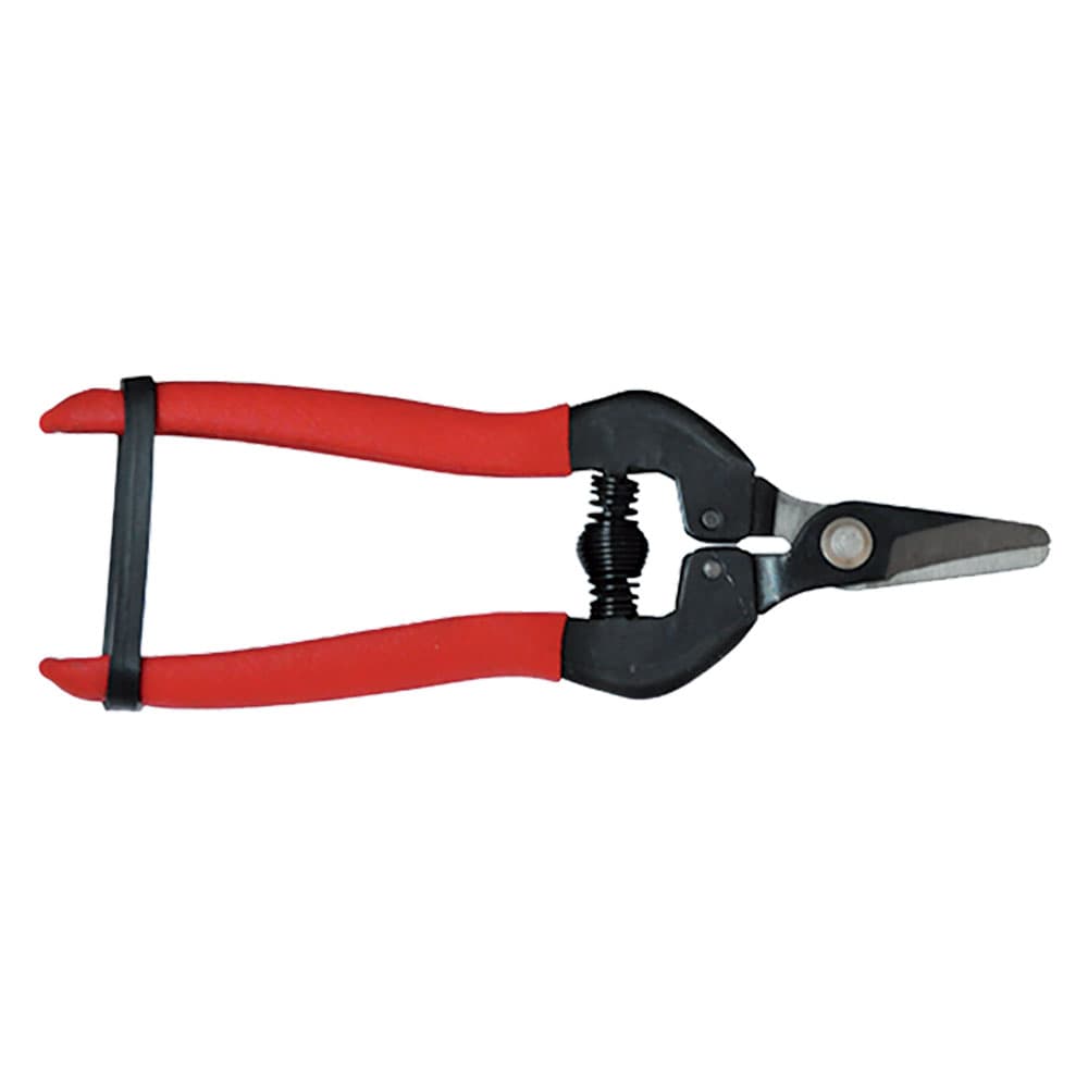 FORBICI COGLIUVA cm 16 - pz. 1