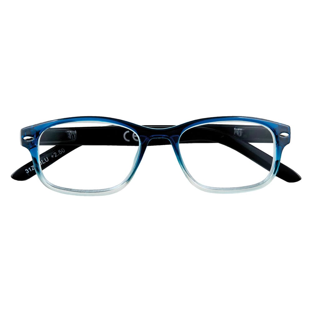 OCCHIALI PER LETTURA 'B1-BLU' + 2,50