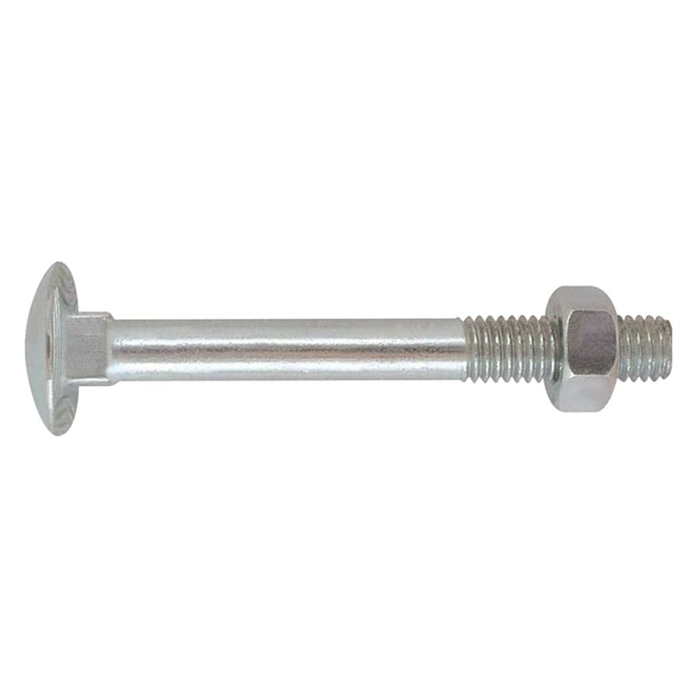BULLONE ZINCATO TESTA TONDA T.T.Q.S.T.D.E. 10 x 120 (5 C%)