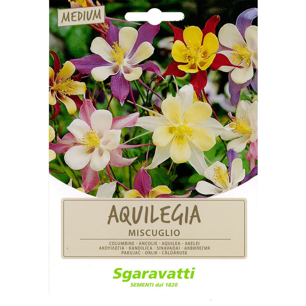 SEMI PER PRATO UNIVERSALE aquilegia miscuglio (20 PZ)