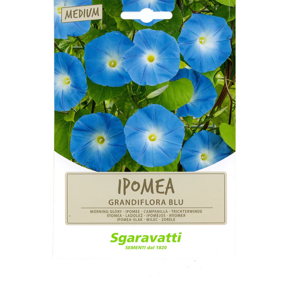 SEMI PER PRATO UNIVERSALE ipomea grandiflora blu (10 PZ)