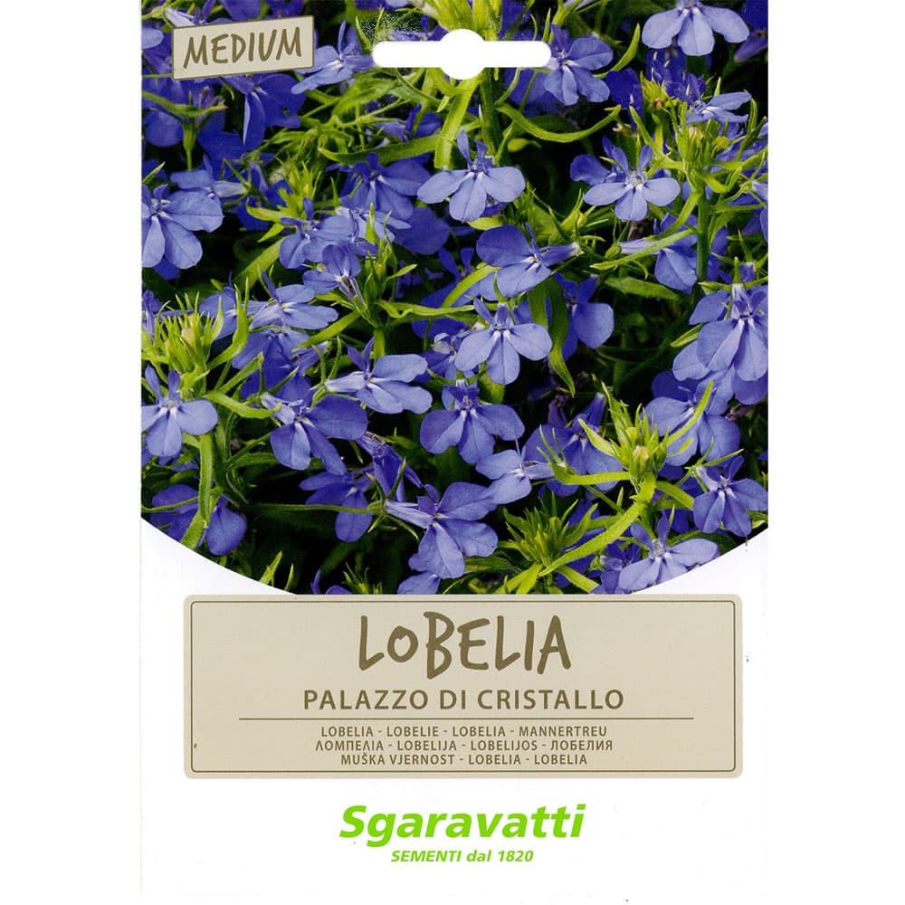 SEMI PER PRATO UNIVERSALE lobelia palazzo di cristallo (20 PZ)