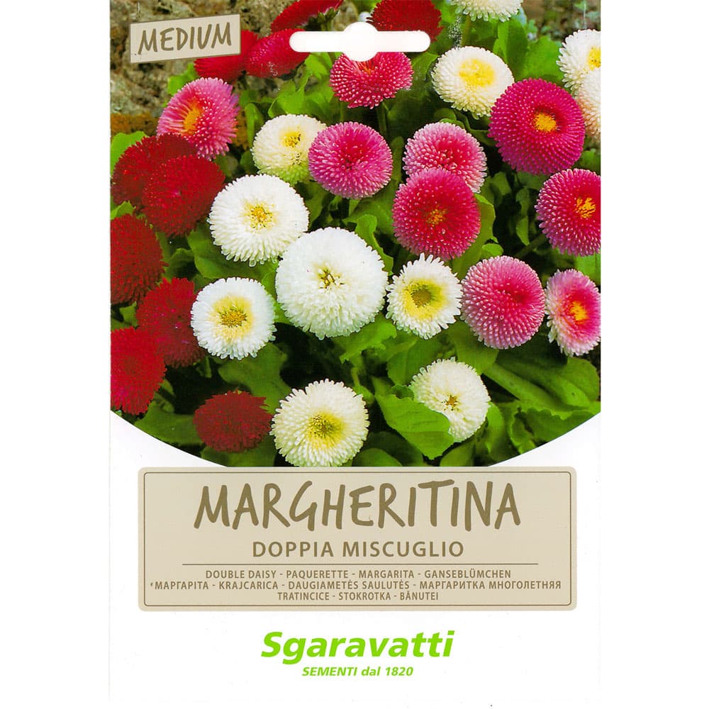 SEMI PER PRATO UNIVERSALE margheritine doppie in miscuglio (20 PZ)