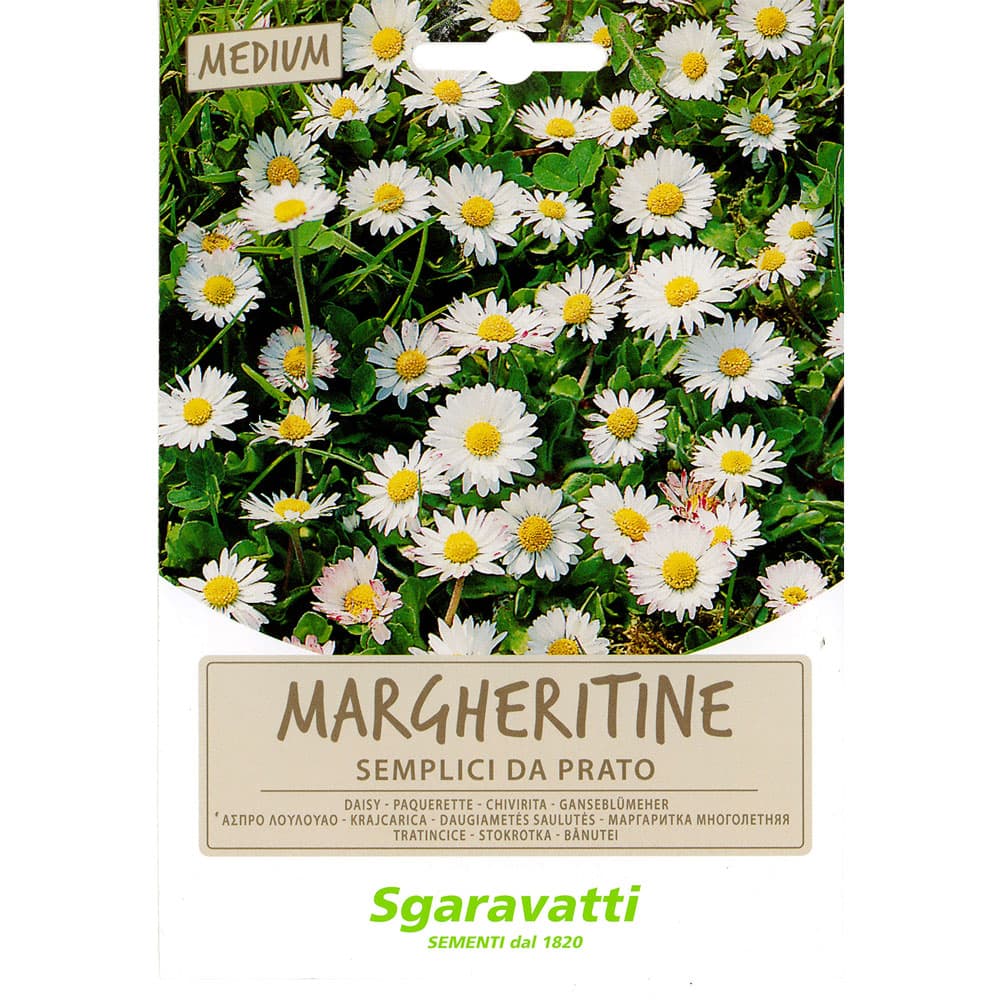 SEMI PER PRATO UNIVERSALE margheritine semplici da prato (20 PZ)