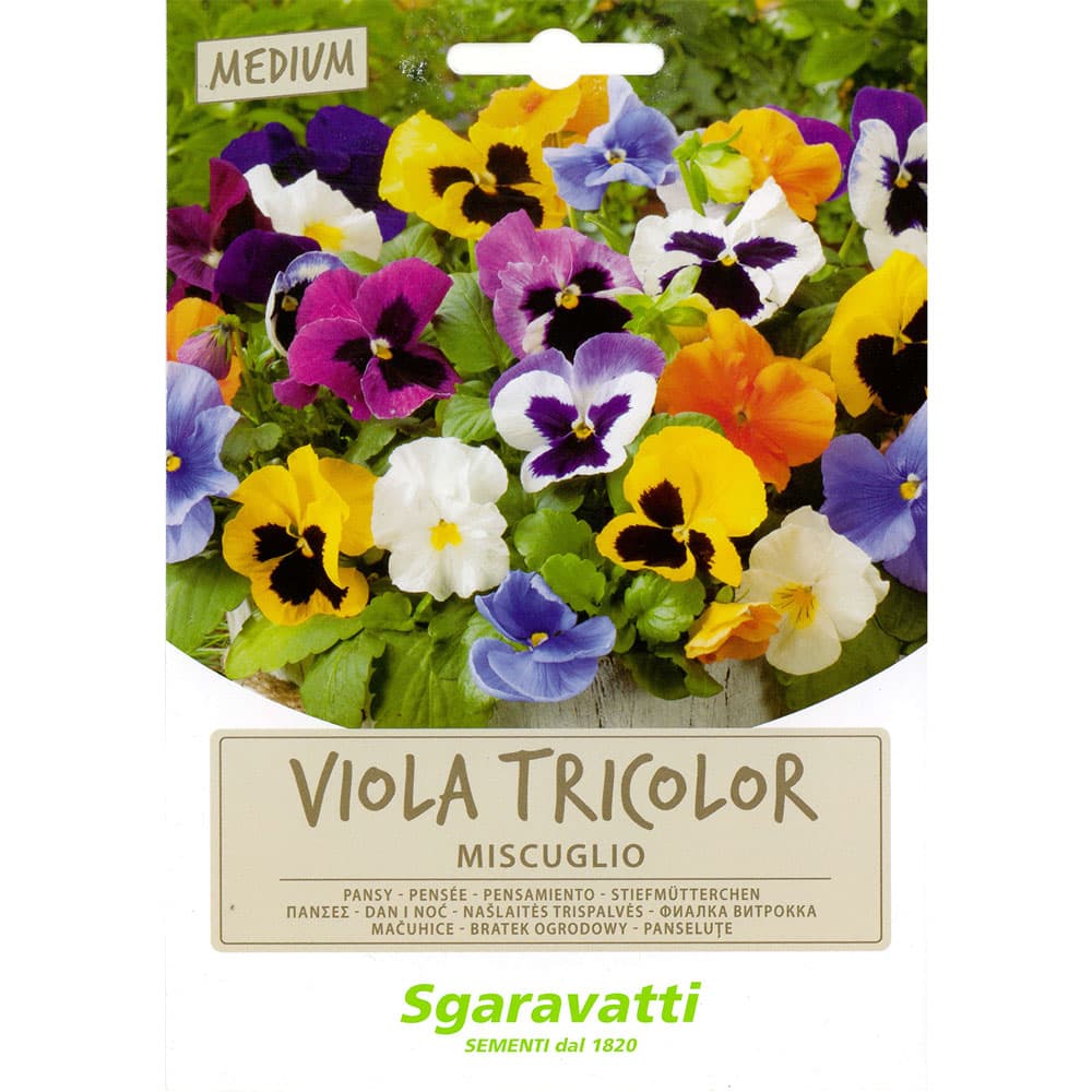 SEMI PER PRATO UNIVERSALE viola tricolor miscuglio (20 PZ)