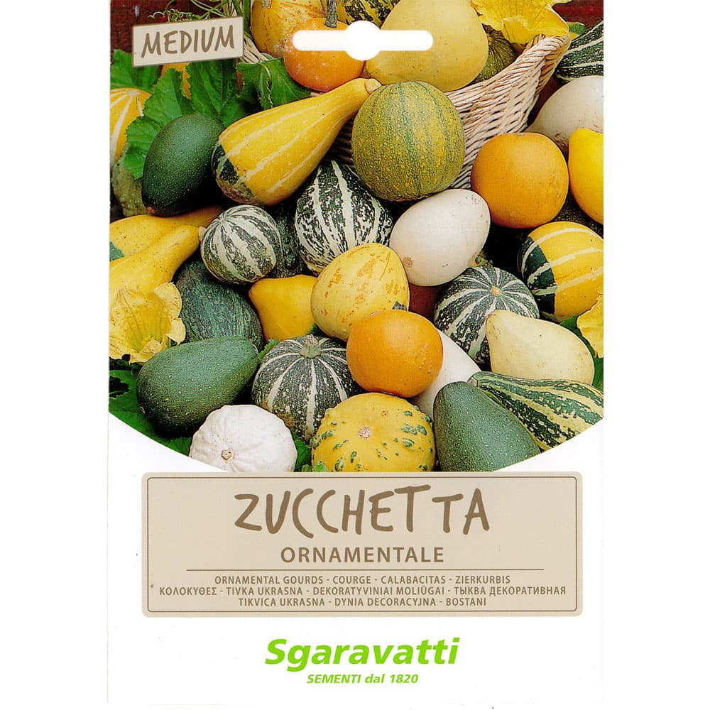 SEMI PER PRATO UNIVERSALE zucchette ornamentali (20 PZ)
