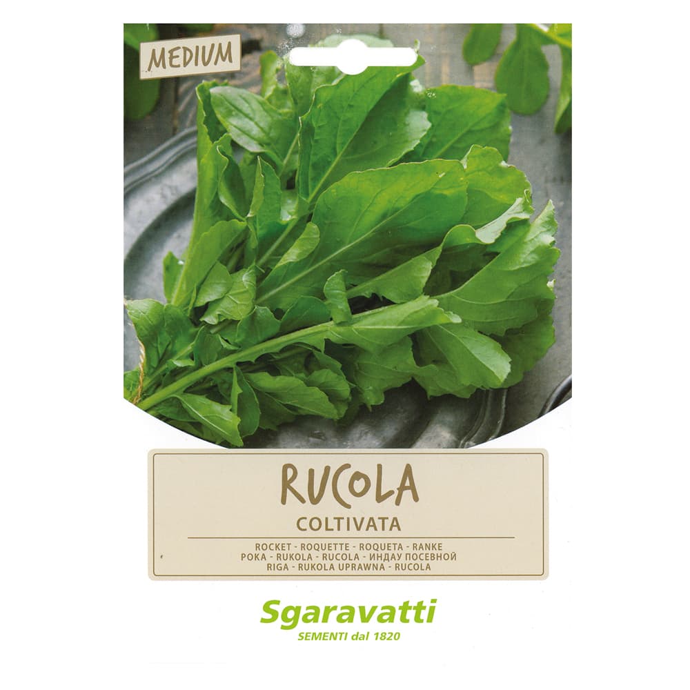 SEMI PER ORTAGGI E VEGETALI rucola coltivata (10 PZ)