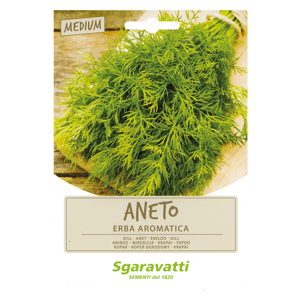 SEMI PER ORTAGGI E VEGETALI aneto (20 PZ)