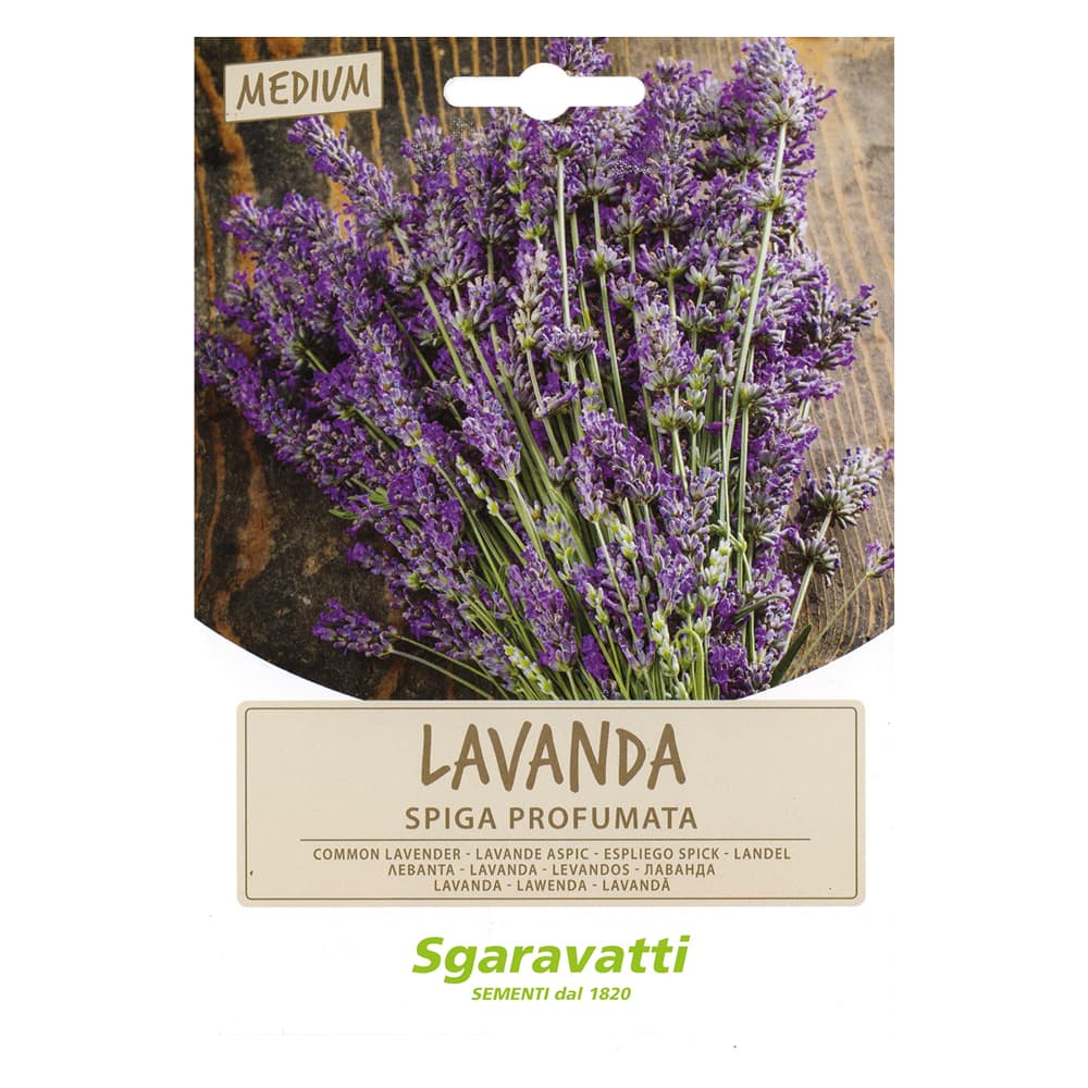 SEMI PER ORTAGGI E VEGETALI lavanda spiga (20 PZ)