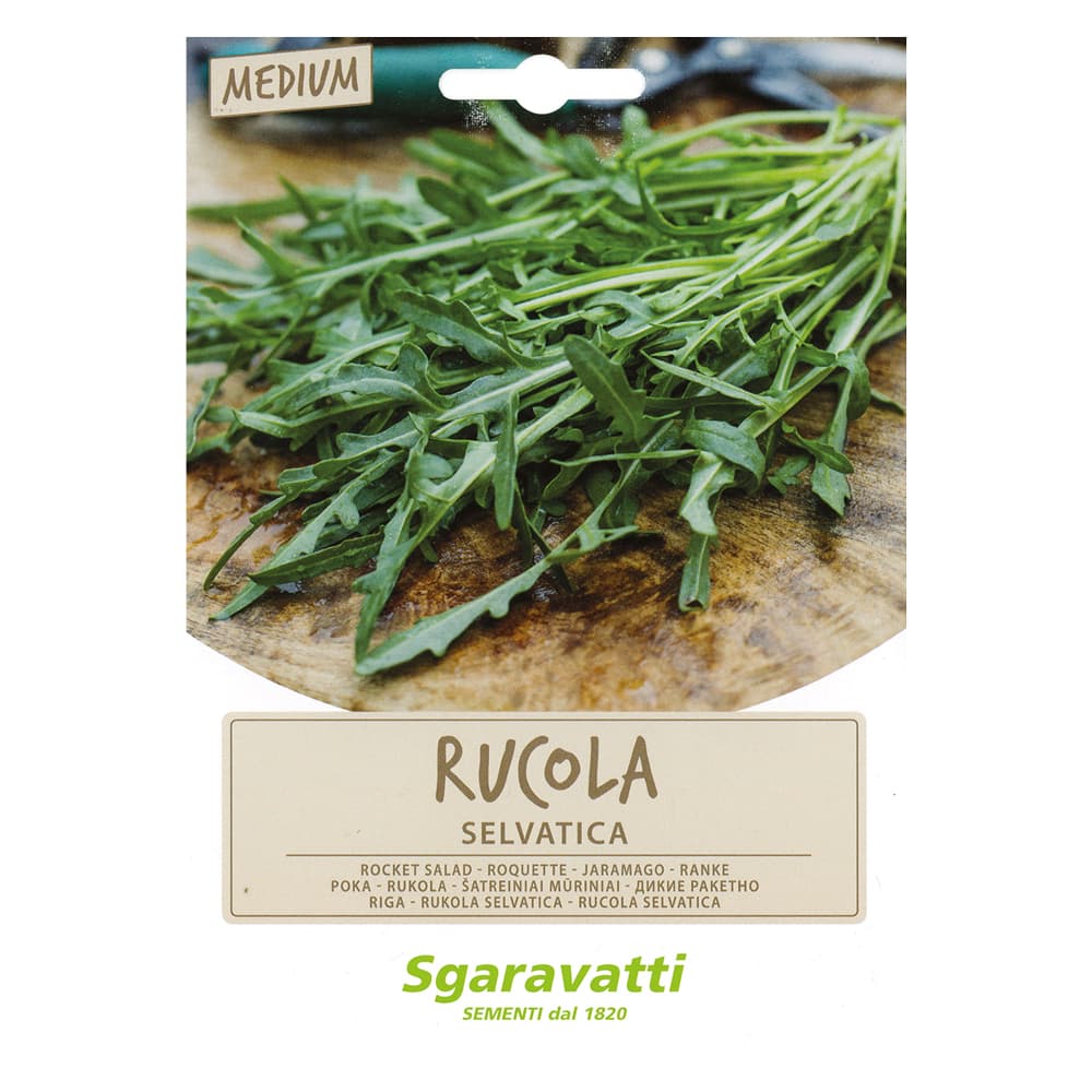 SEMI PER ORTAGGI E VEGETALI rucola selvatica (10 PZ)