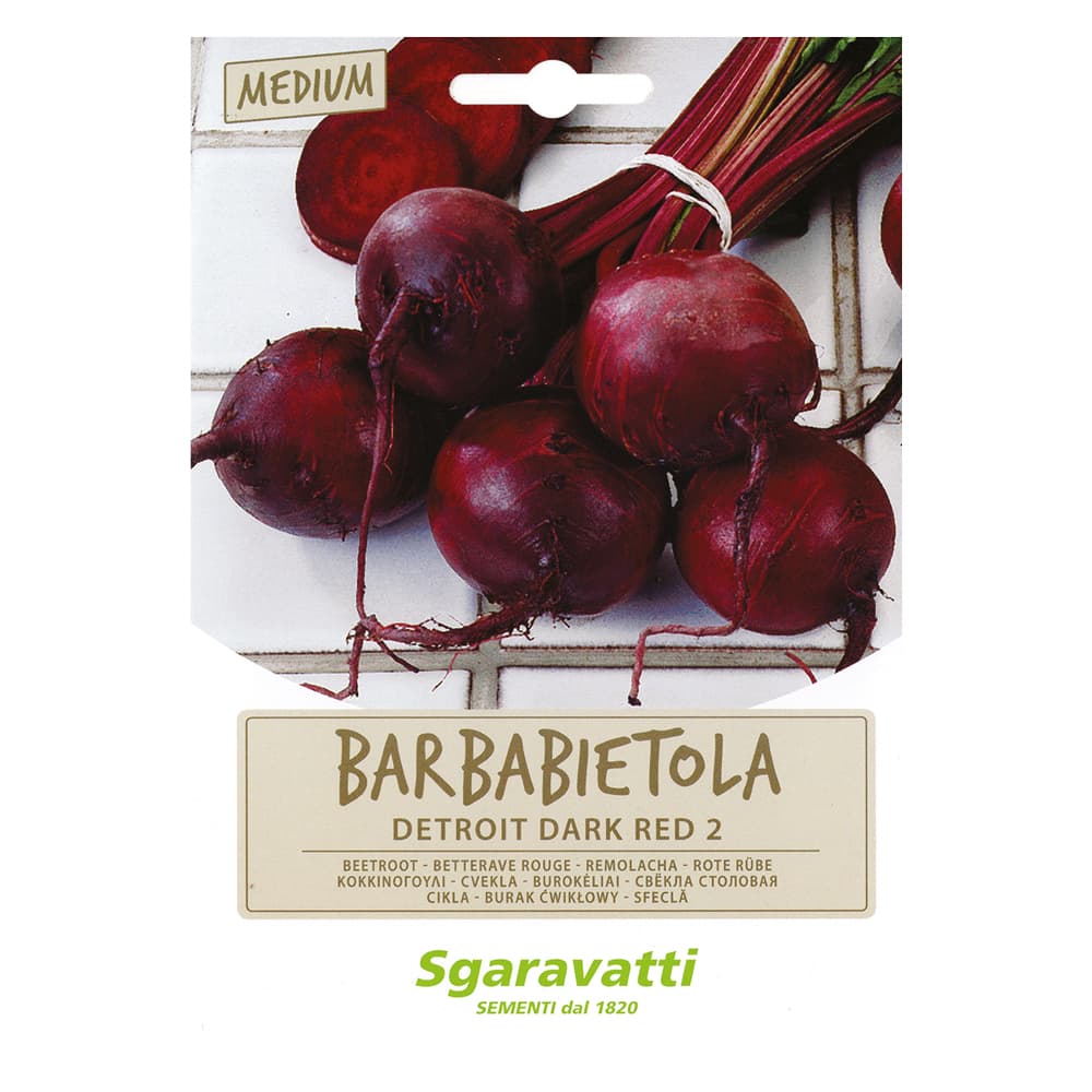 SEMI PER ORTAGGI E VEGETALI barbabietola detroit (10 PZ)