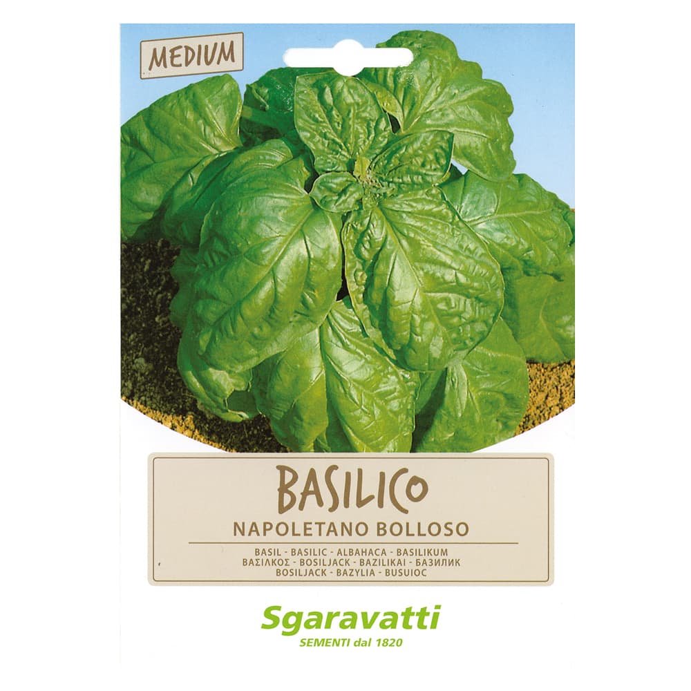 SEMI PER ORTAGGI E VEGETALI basilico napoletano bolloso (20 PZ)
