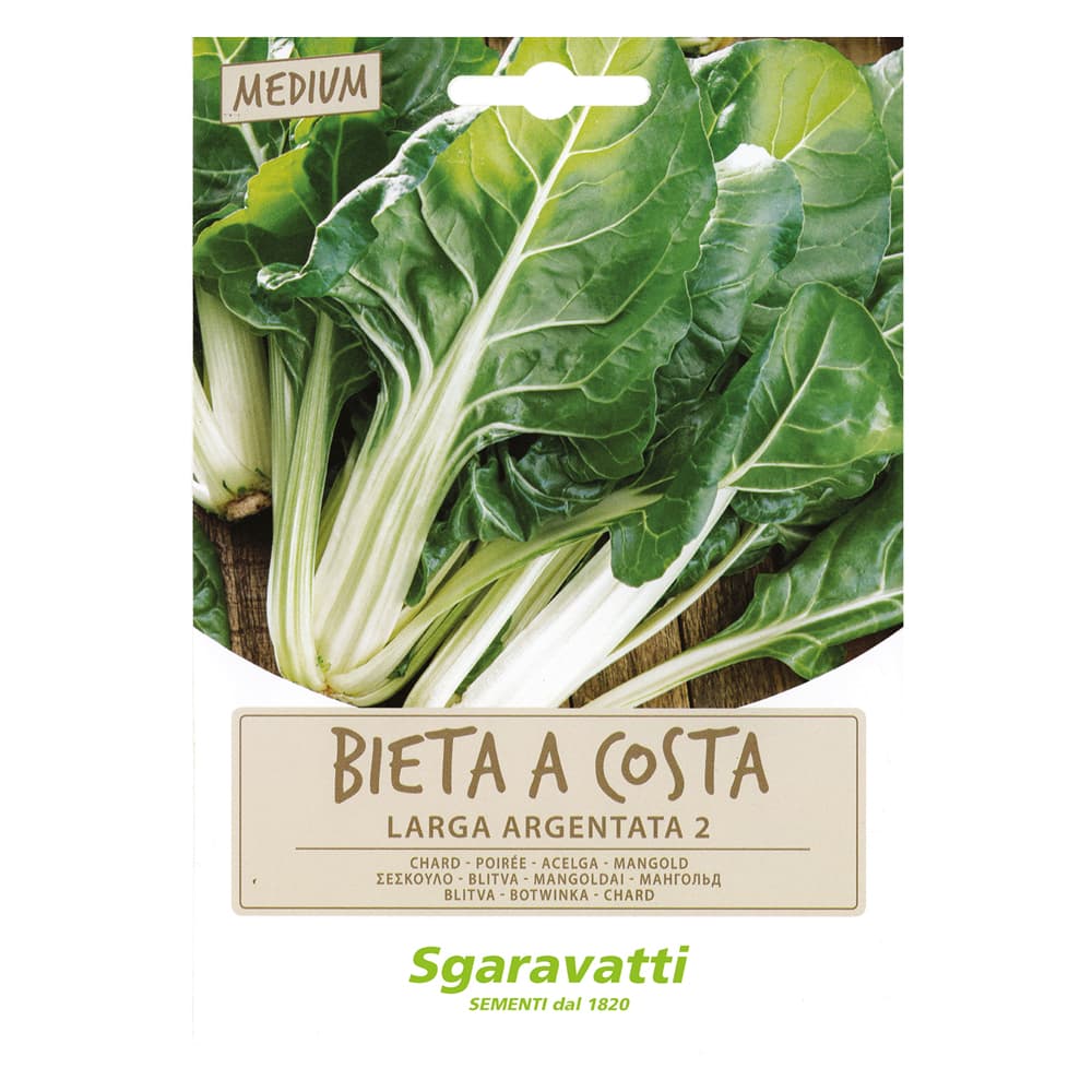 SEMI PER ORTAGGI E VEGETALI bieta verde costa larga argentata (10 PZ)