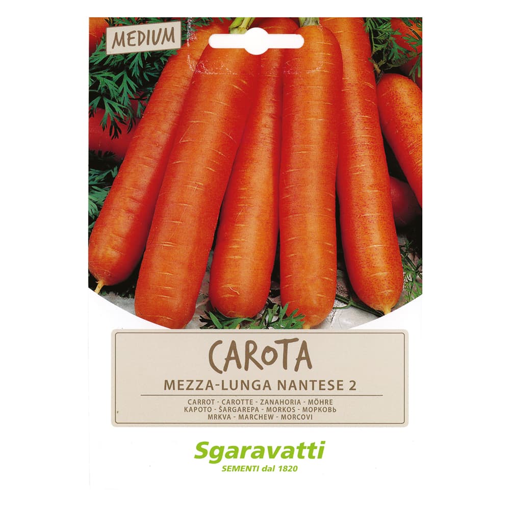SEMI PER ORTAGGI E VEGETALI carota lunga nantese 2 (20 PZ)
