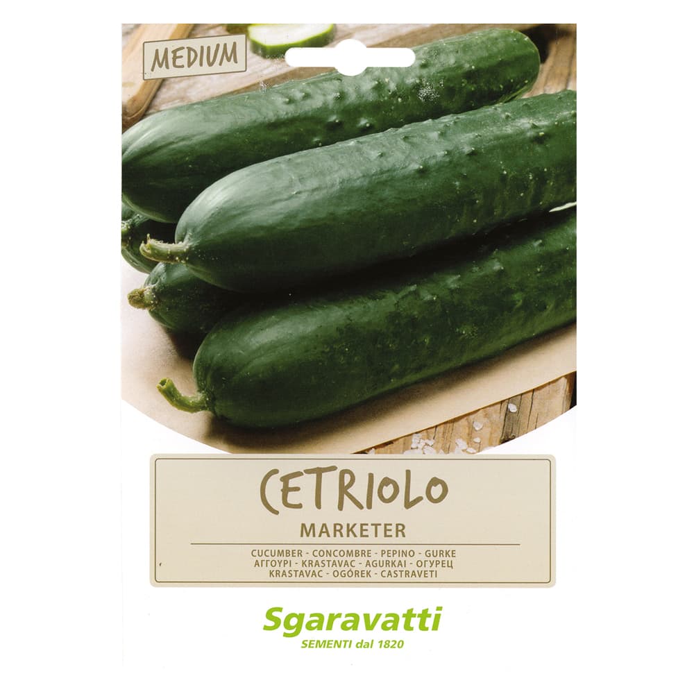 SEMI PER ORTAGGI E VEGETALI cetriolo Marketer (20 PZ)