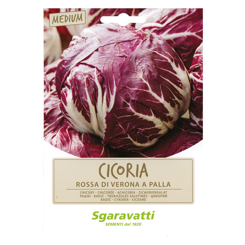 SEMI PER ORTAGGI E VEGETALI cicoria rossa di verona a palla (20 PZ)