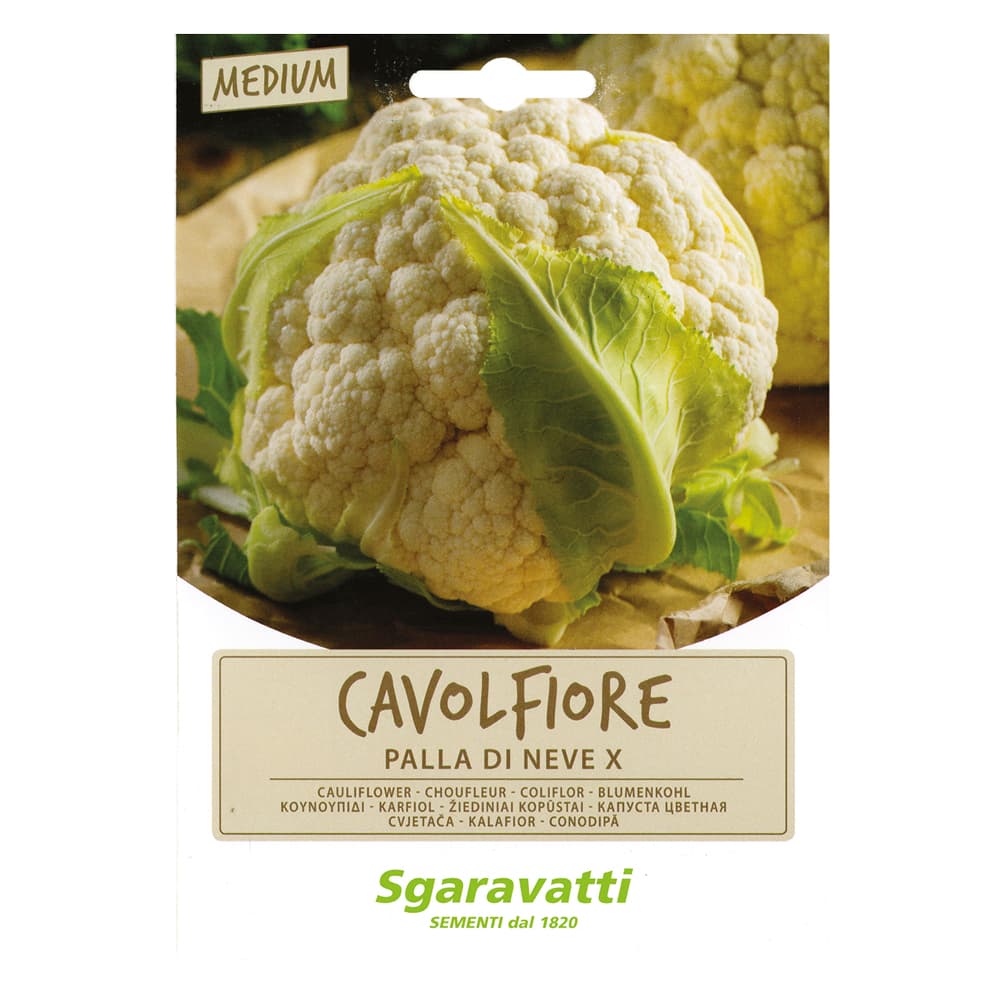 SEMI PER ORTAGGI E VEGETALI cavolfiore palla di neve X (20 PZ)