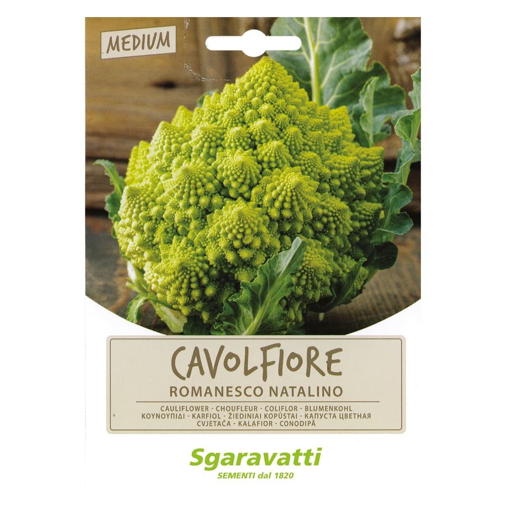 SEMI PER ORTAGGI E VEGETALI cavolfiore romanesco natalino (20 PZ)