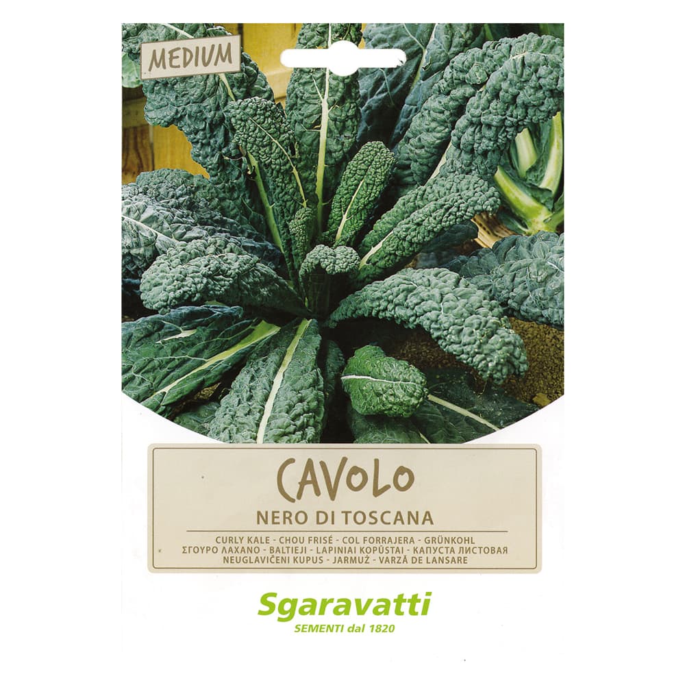 SEMI PER ORTAGGI E VEGETALI cavolo nero di Toscana (20 PZ)