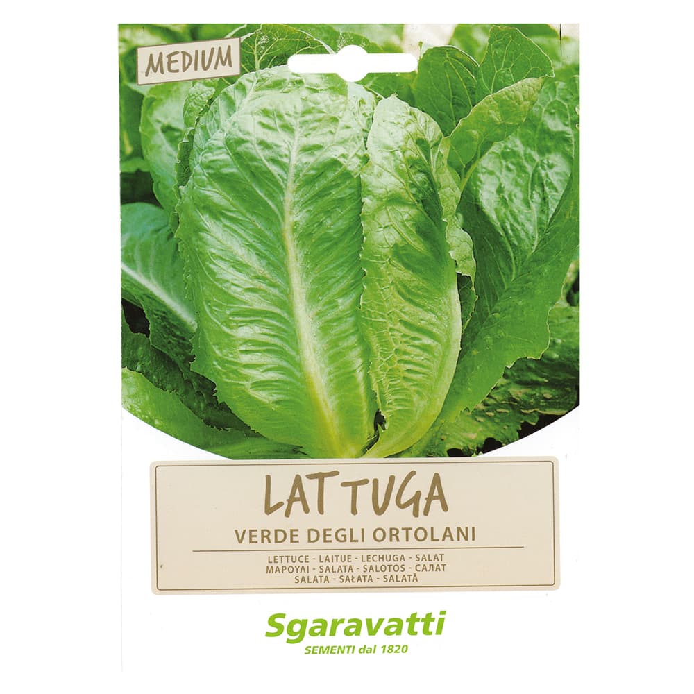SEMI PER ORTAGGI E VEGETALI lattuga verde degli ortolani (20 PZ)