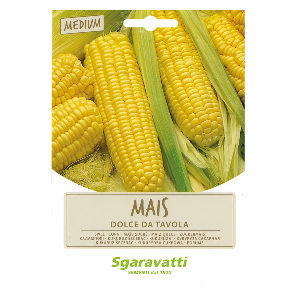 SEMI PER ORTAGGI E VEGETALI mais dolce Golden Bantam (10 PZ)