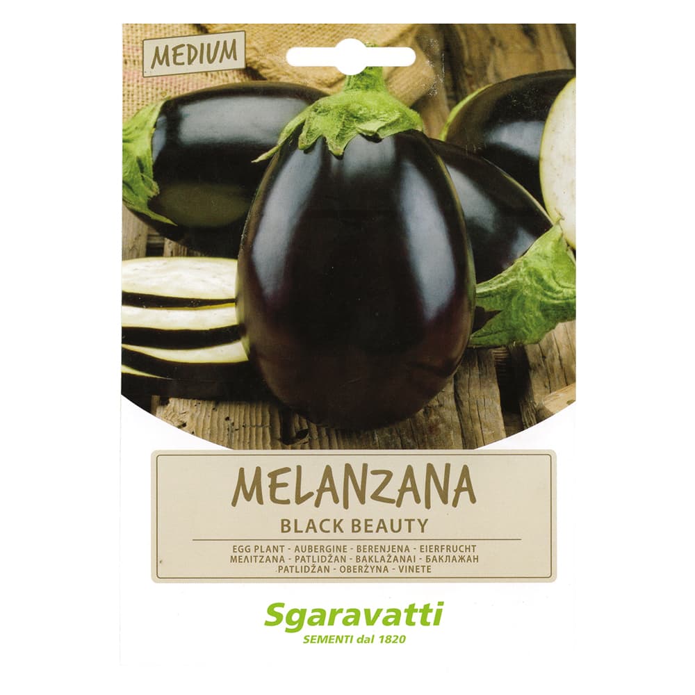 SEMI PER ORTAGGI E VEGETALI melanzana black beauty (20 PZ)