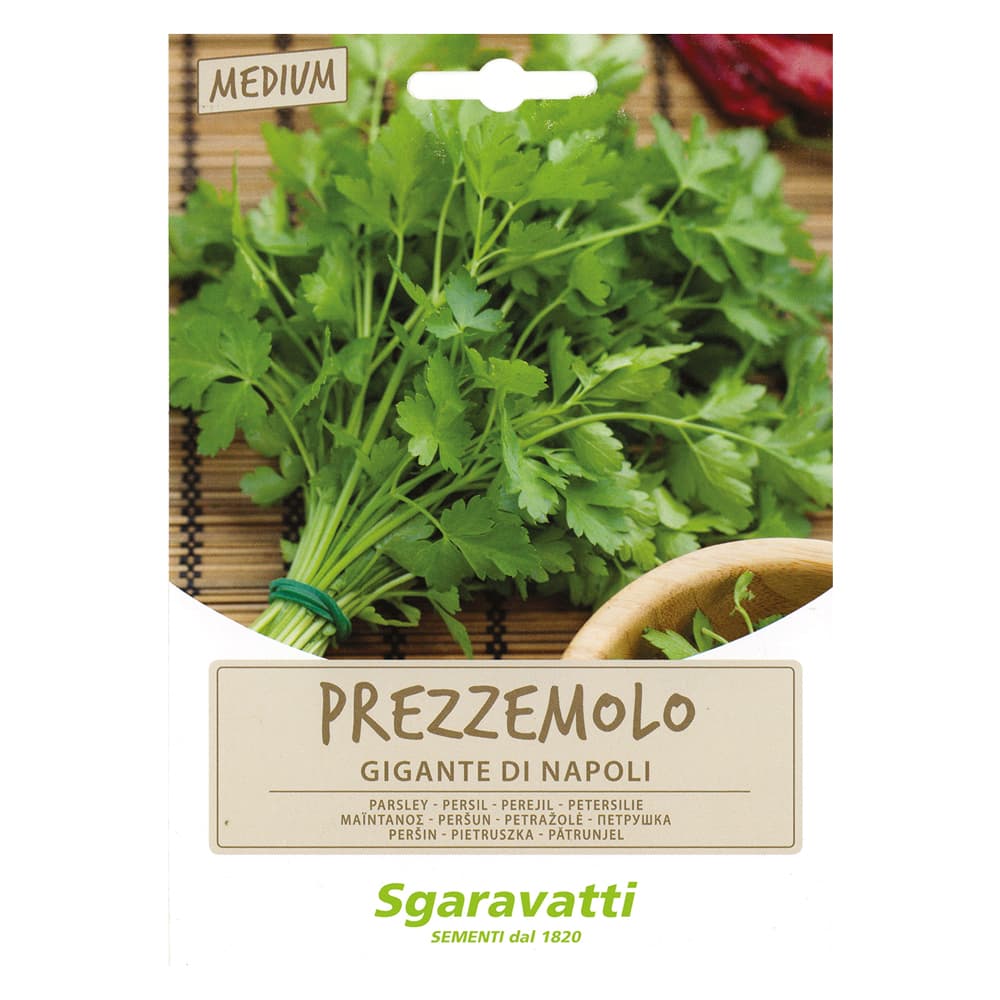 SEMI PER ORTAGGI E VEGETALI prezzemolo gigante Napoli (10 PZ)