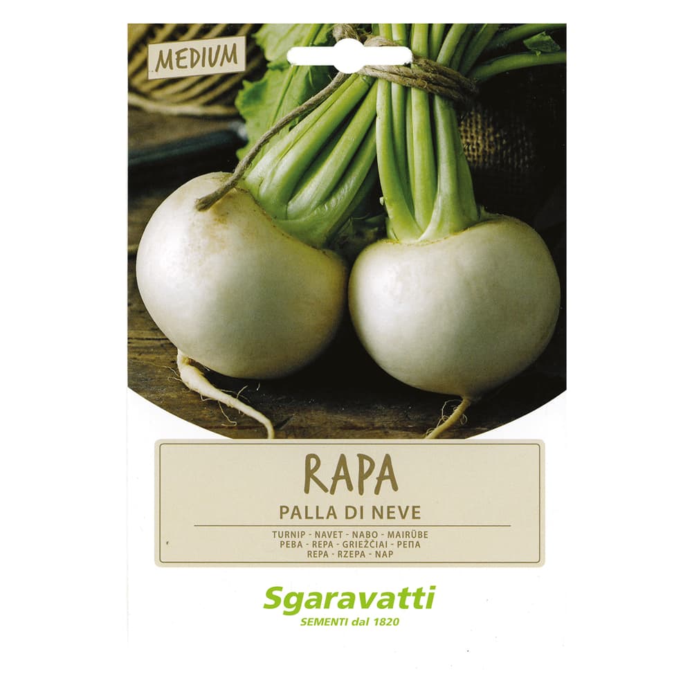 SEMI PER ORTAGGI E VEGETALI rapa palla di neve (20 PZ)