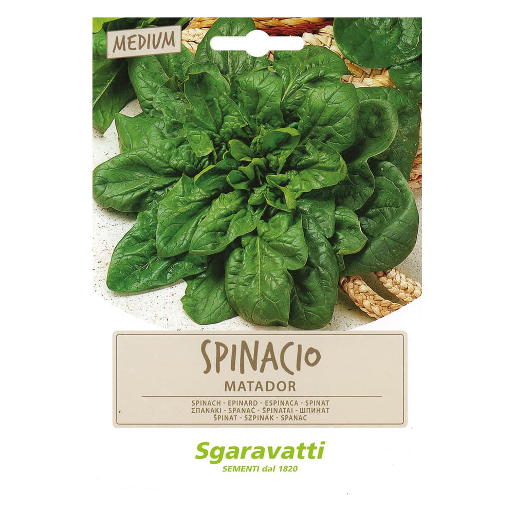 SEMI PER ORTAGGI E VEGETALI spinacio matador (10 PZ)