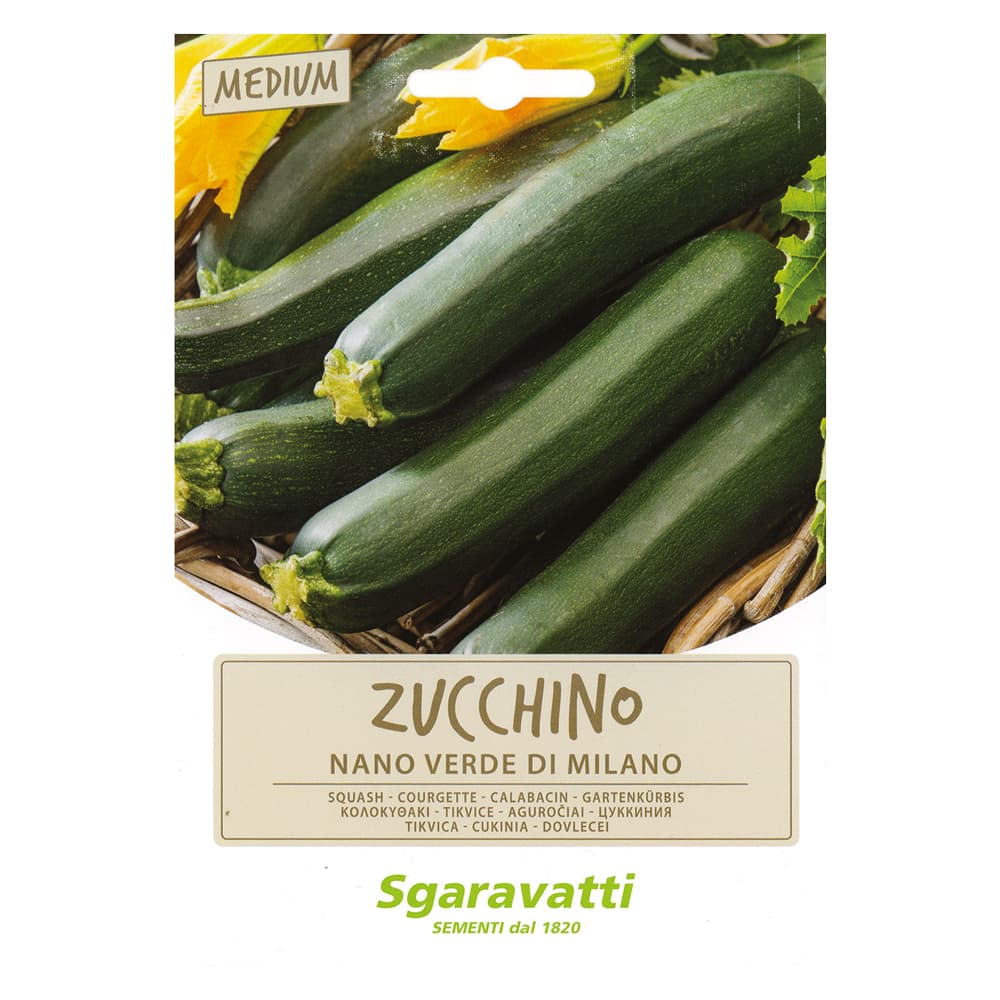 SEMI PER ORTAGGI E VEGETALI zucchino nano verde di milano (10 PZ)