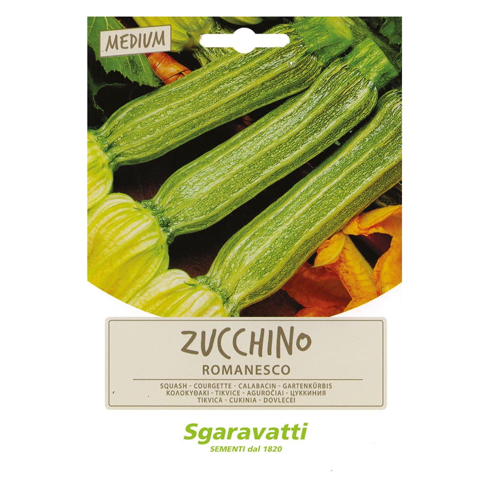 SEMI PER ORTAGGI E VEGETALI zucchino romanesco (20 PZ)