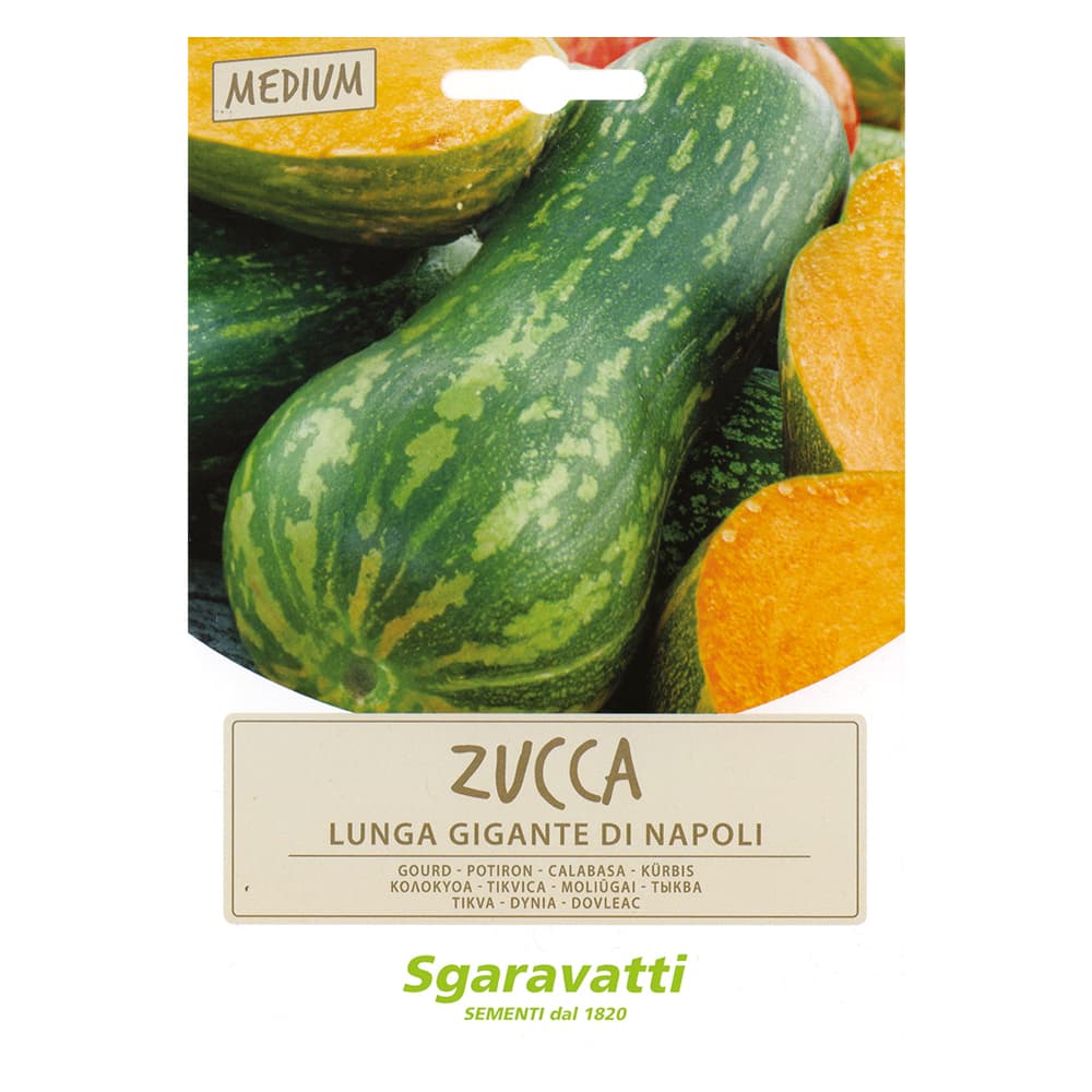 SEMI PER ORTAGGI E VEGETALI zucca lunga gigante di Napoli (20 PZ)