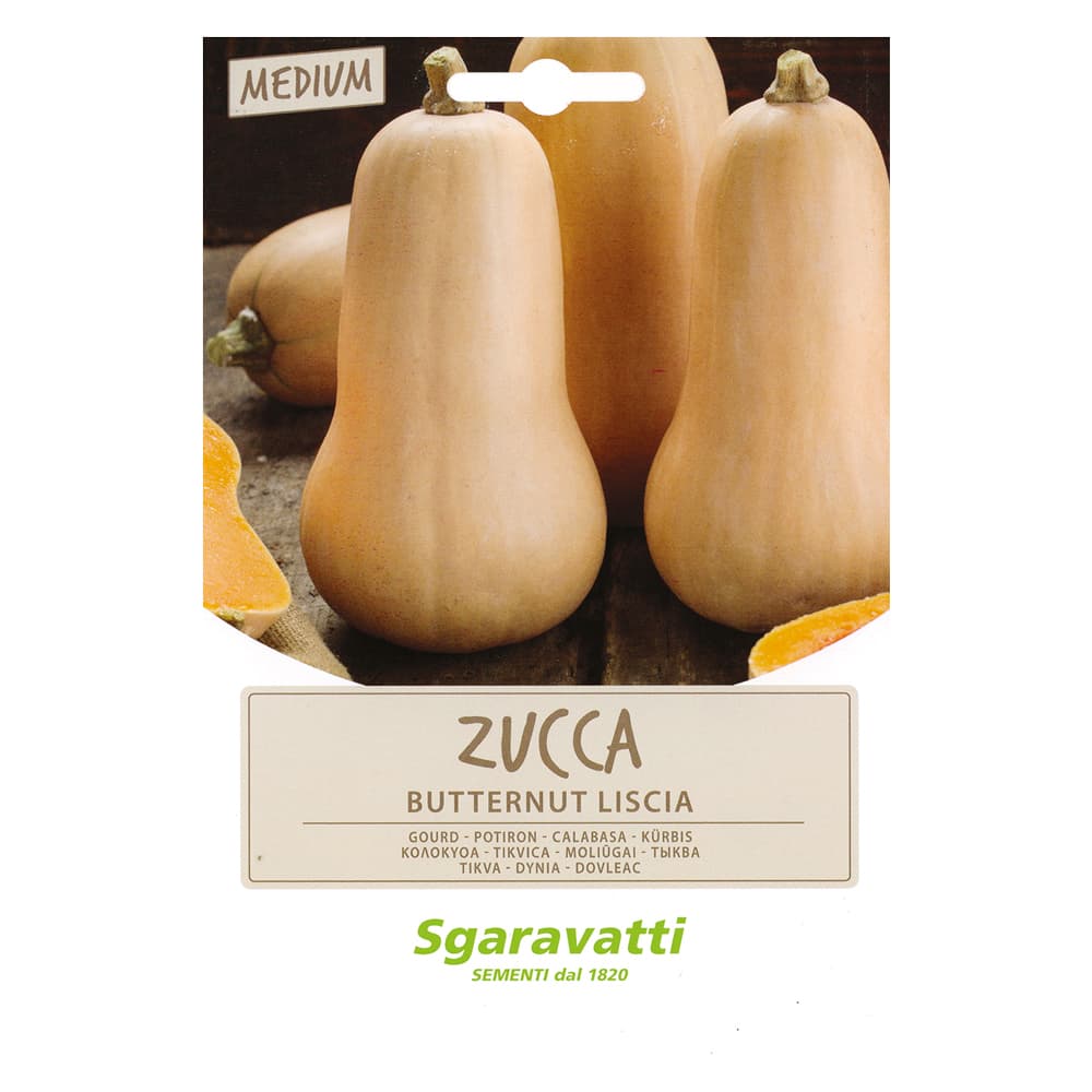 SEMI PER ORTAGGI E VEGETALI zucca butternut liscia (10 PZ)