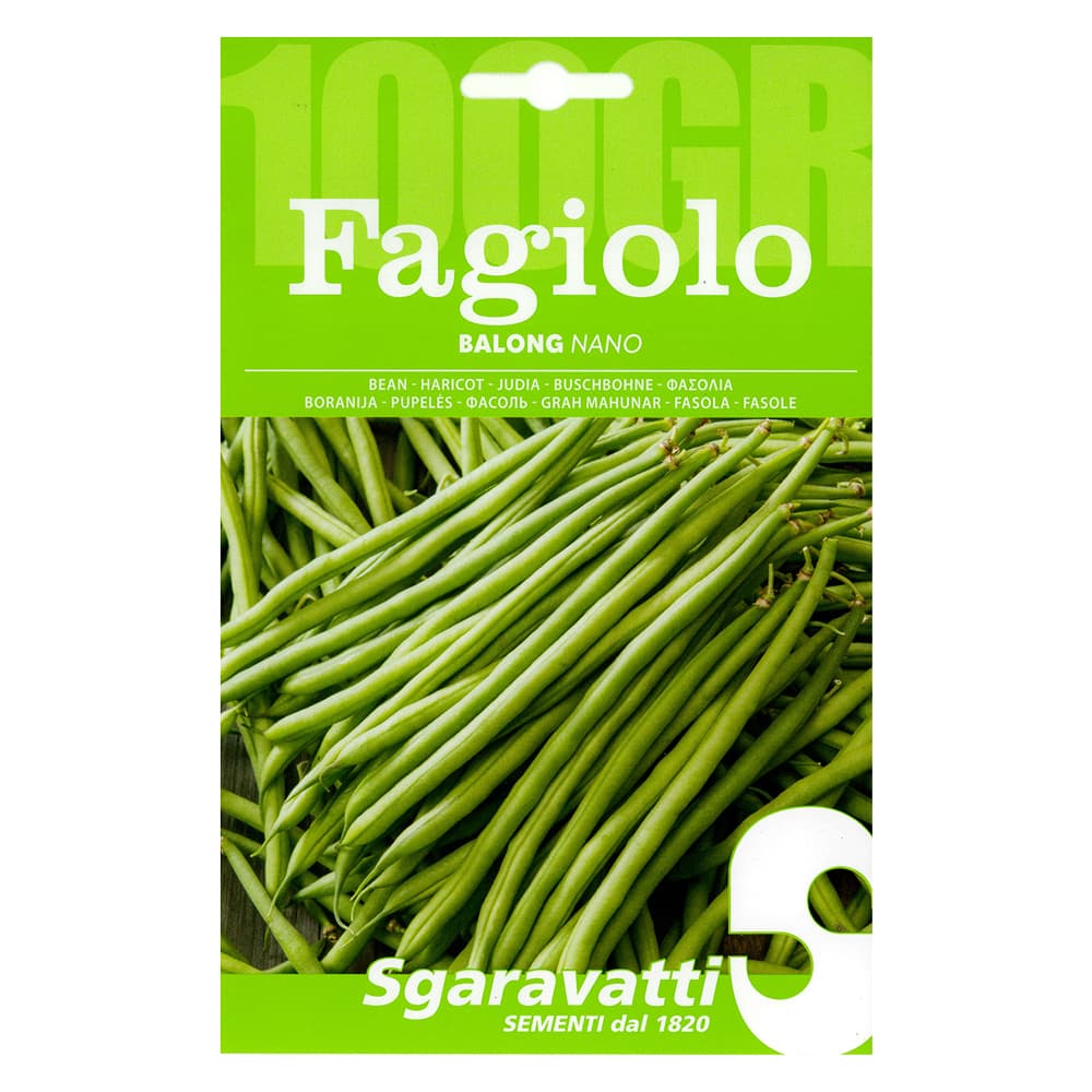 SEMI PER FAGIOLI fagiolo nano balong - gr 250