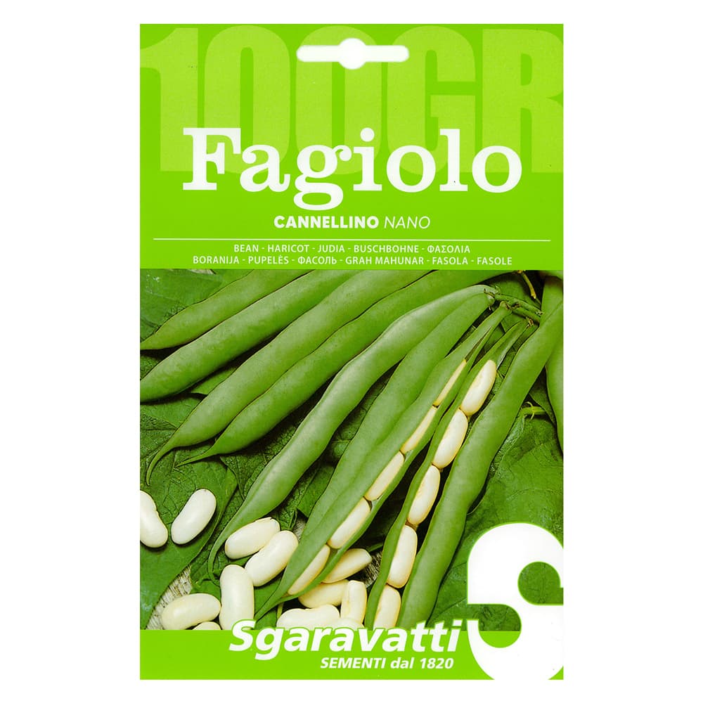 SEMI PER FAGIOLI fagiolo nano cannellino - gr 100 (5 PZ)