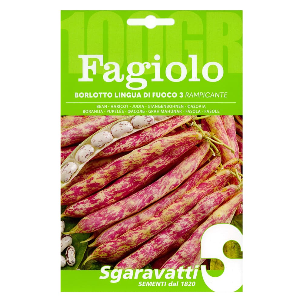 SEMI PER FAGIOLI fagiolo borlotto rampicante lingua di fuoco 3 - gr 100 (5 PZ)