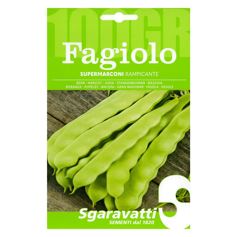 SEMI PER FAGIOLI fagiolo rampicante supermarconi - gr 100 (5 PZ)