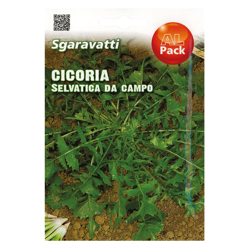 SEMI PER ORTAGGI E VEGETALI cicoria selvatica da campo (20 PZ)