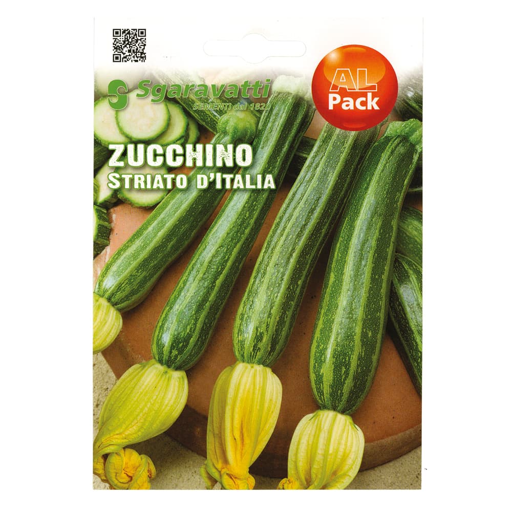 SEMI PER ORTAGGI E VEGETALI zucchino striato d'Italia (10 PZ)