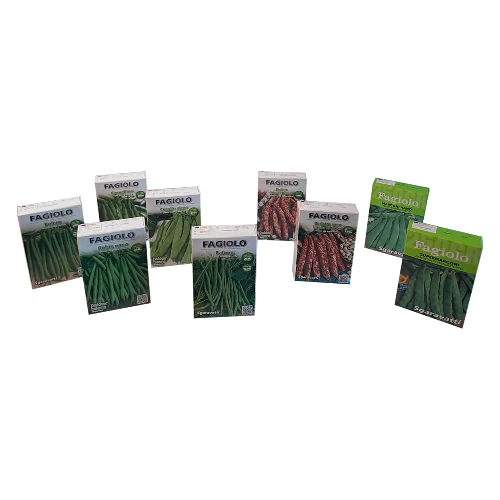 SEMI PER FAGIOLI fagiolo coco noir - gr 100 (5 PZ)