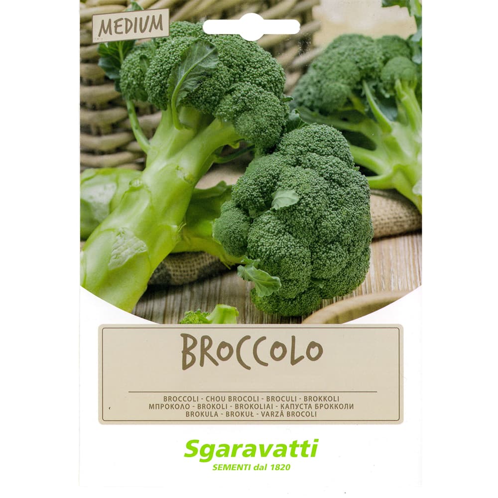 SEMI PER FAVE broccoletto aprilatico - gr 100 (20 PZ)