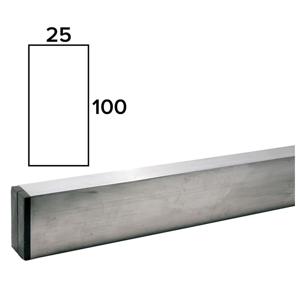 STADIA PER MURATORE mm 100x25 mt 2,5