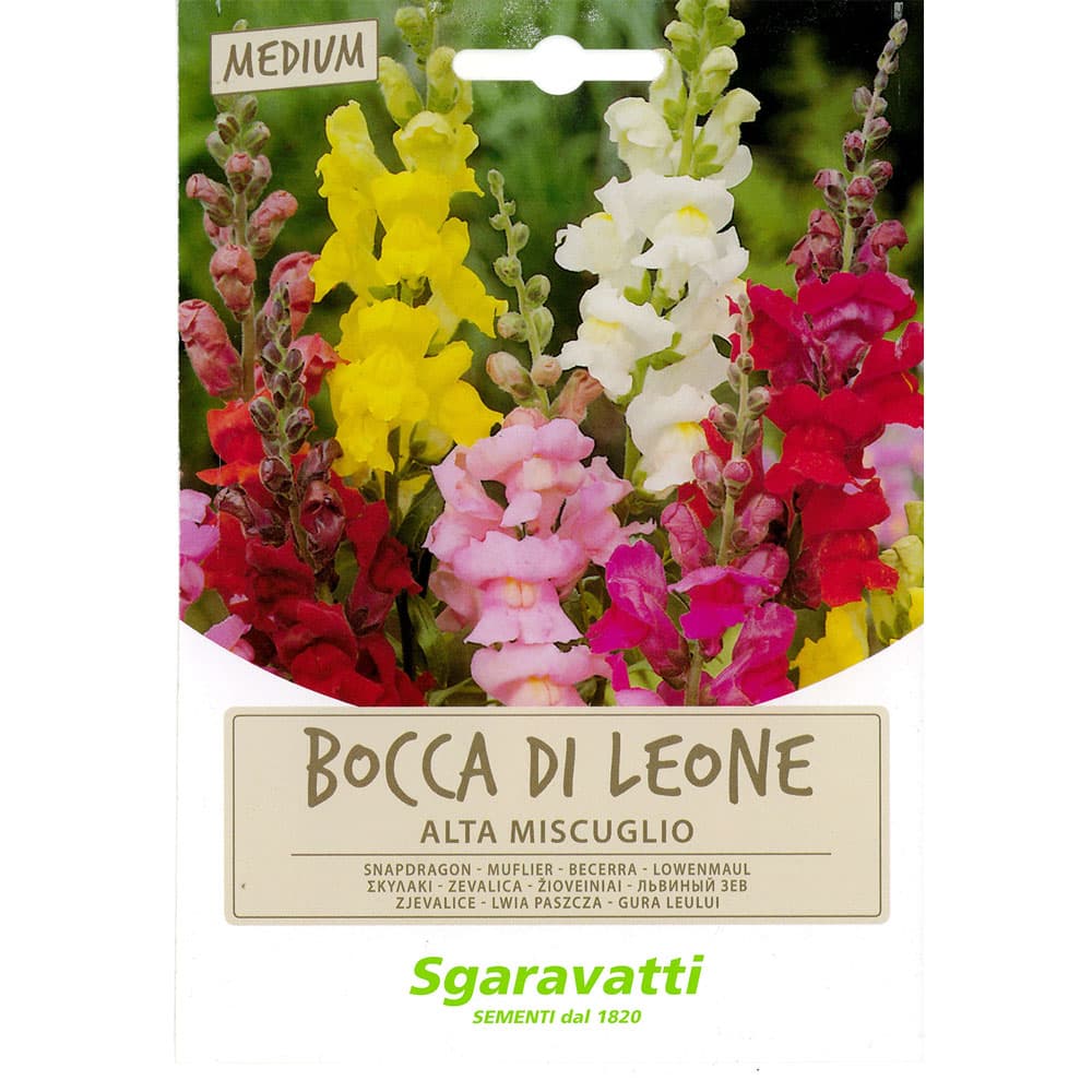 SEMI PER PRATO UNIVERSALE bocca di leone (20 PZ)