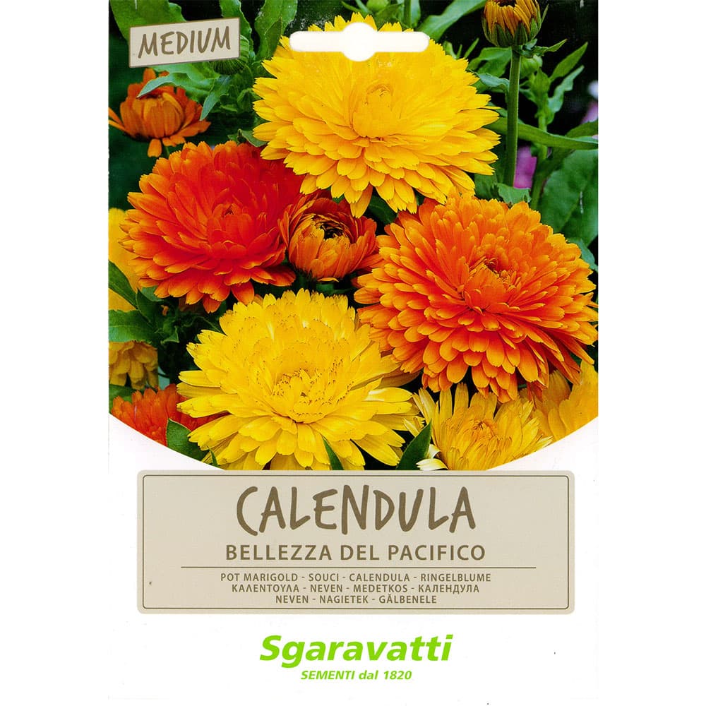 SEMI PER PRATO UNIVERSALE calendula bellezza del pacifico (10 PZ)