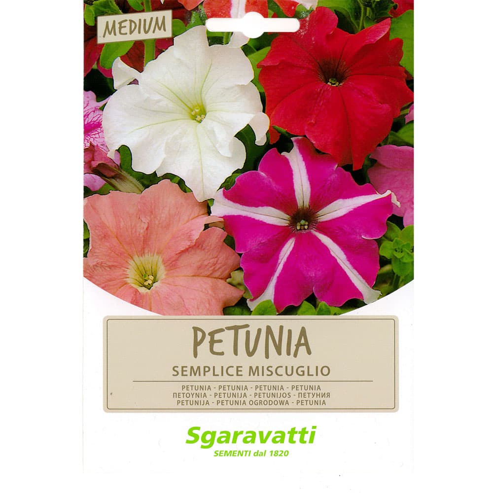 SEMI PER PRATO UNIVERSALE petunia semplice miscuglio (10 PZ)